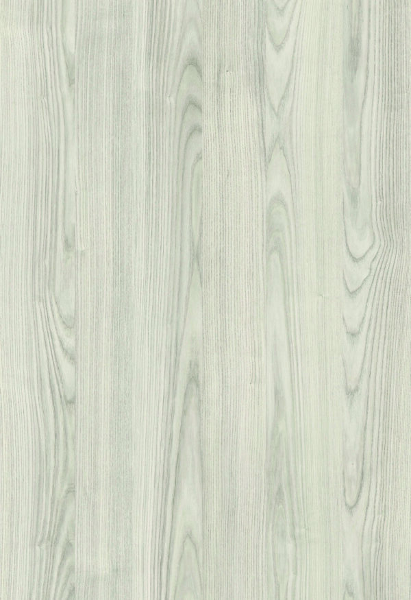 POLAR ELM